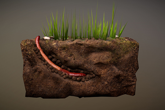 earthworm